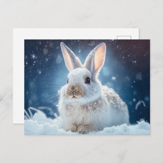 Carte postale Lapin Neige (Devant / Derrière)