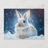 Carte postale Lapin Neige (Devant)