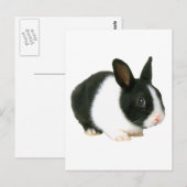 Carte Postale Lapin noir et blanc (Devant / Derrière)