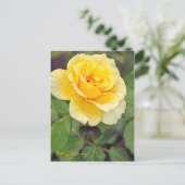 Carte Postale Lapin Or Rosa [Carte Postale] (Debout devant)