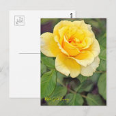 Carte Postale Lapin Or Rosa [Carte Postale] (Devant / Derrière)