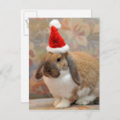 Carte Postale Lapin ou lapin nain (Devant / Derrière)