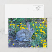 Carte Postale Lapin sauvage en Fleurs Jaunes (Devant / Derrière)