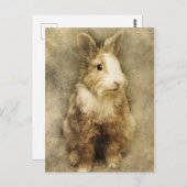 Carte Postale lapin vintage (Devant / Derrière)