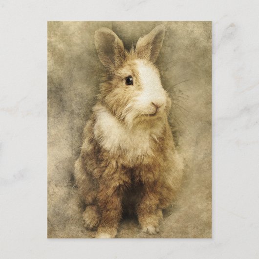 Carte Postale lapin vintage (Devant)