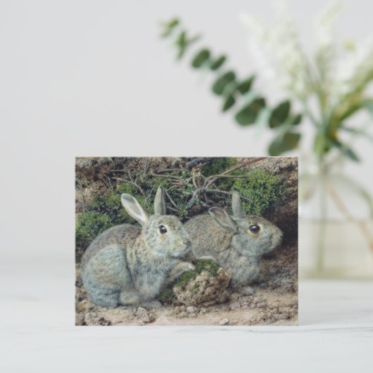 Carte Postale Lapins (Debout devant)