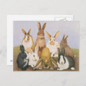 Carte Postale Lapins chanceux (Devant / Derrière)