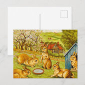 Carte Postale Lapins du printemps par Louis Wain (Devant / Derrière)