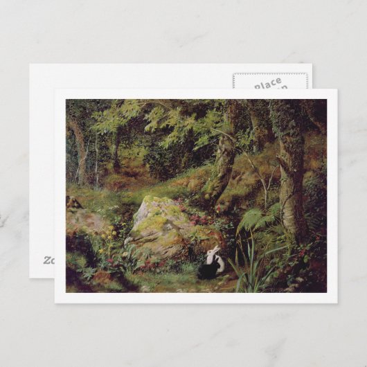 Carte Postale Lapins errants (Devant / Derrière)