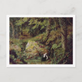 Carte Postale Lapins errants (Devant)