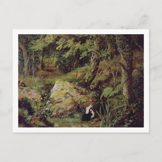 Carte Postale Lapins errants (Devant)