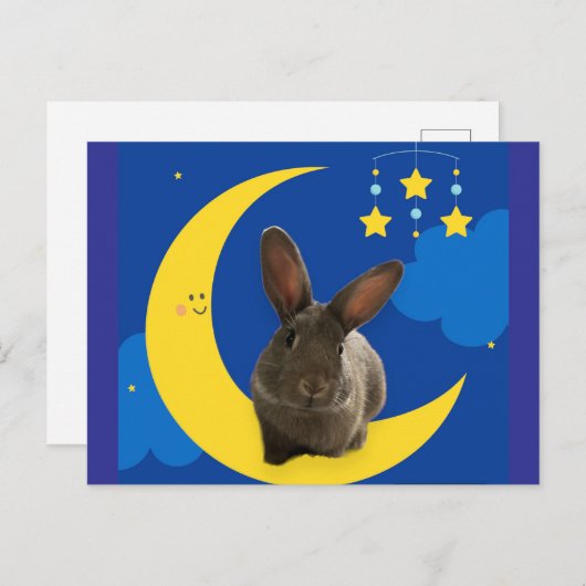 Carte Postale Lapny de Lune (Devant / Derrière)