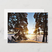 Carte Postale Laponie, Finlande (Devant / Derrière)