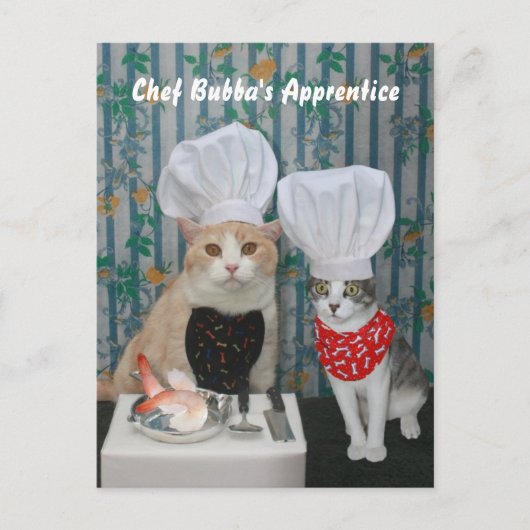 Carte Postale L'apprenti de Bubba de chef (Devant)