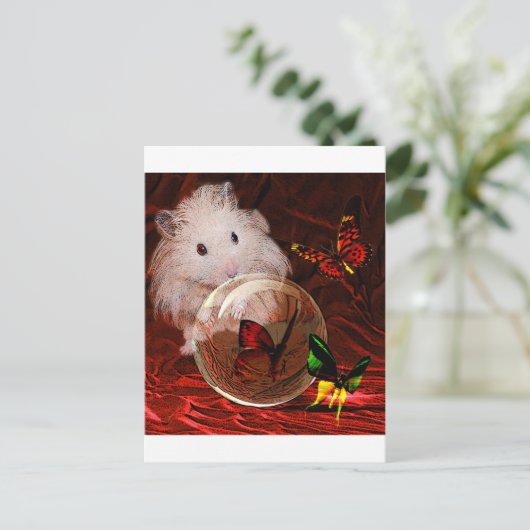 CARTE POSTALE L'APRENTICE (Debout devant)