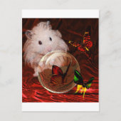 CARTE POSTALE L'APRENTICE (Devant)