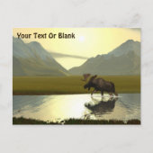 Carte Postale L'après-midi Moose (Devant)