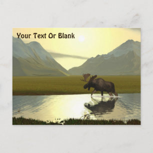 Carte Postale L'après-midi Moose