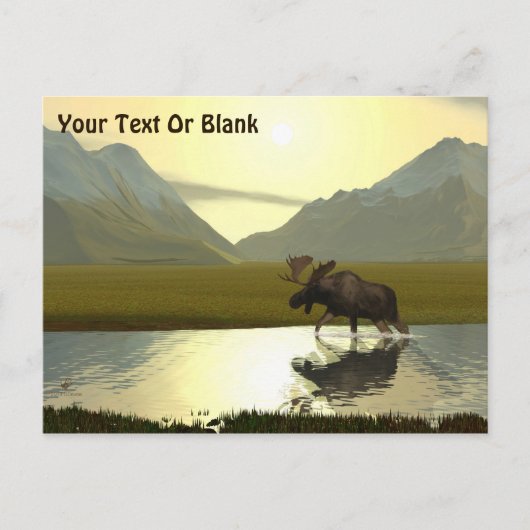 Carte Postale L'après-midi Moose (Devant)