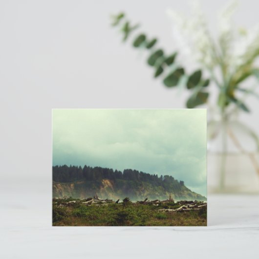 Carte Postale LaPush, Washington (Debout devant)