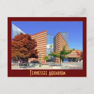 Carte Postale L'aquarium du Tennessee - Chattanooga, TN.