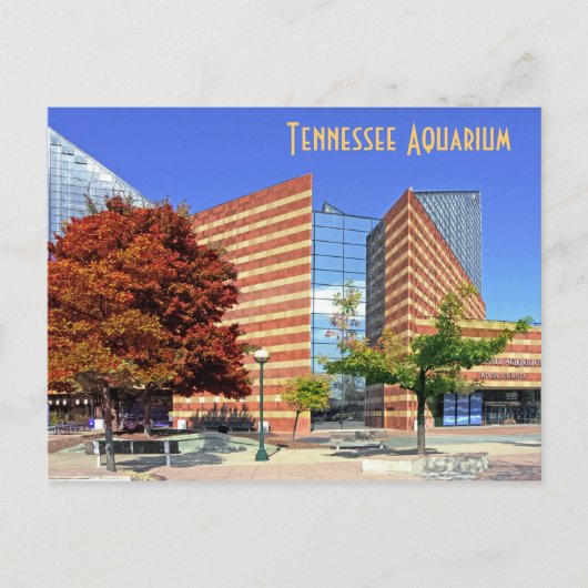 Carte Postale L'aquarium du Tennessee - Chattanooga, TN. (Devant)
