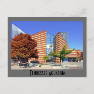 Carte Postale L'aquarium du Tennessee - Chattanooga, TN.
