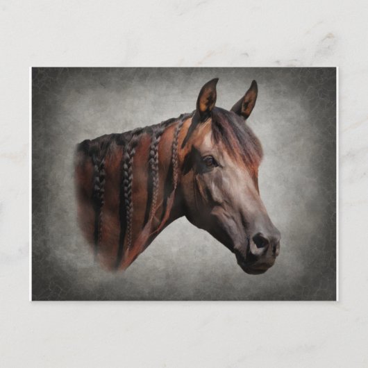 Carte Postale L'arabe (Devant)