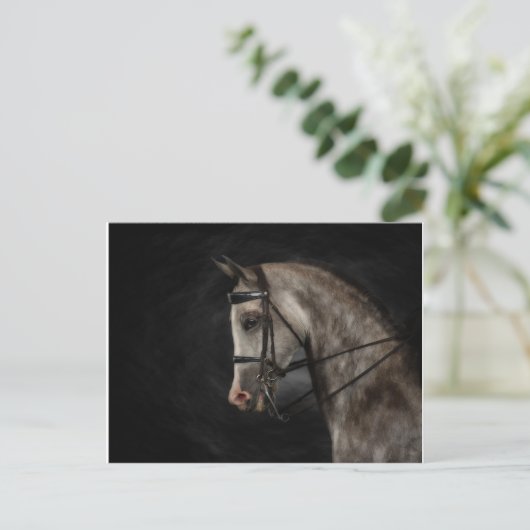 Carte Postale L'arabe classique (Debout devant)