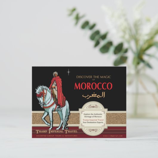 Carte Postale L'arabe monté (Debout devant)