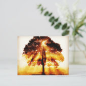 Carte Postale L'arbre de vie (Debout devant)
