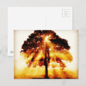 Carte Postale L'arbre de vie (Devant / Derrière)