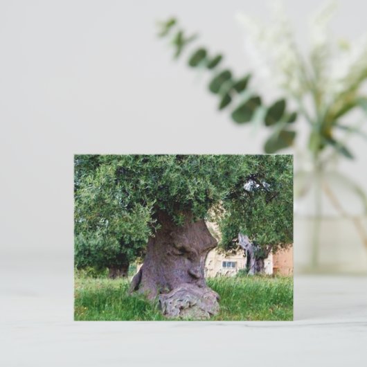 Carte Postale L'Arbre Pensant à Pugia (Debout devant)