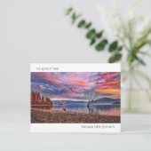 Carte Postale L'arbre solitaire - Wanaka, Nouvelle-Zélande (Debout devant)