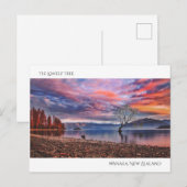 Carte Postale L'arbre solitaire - Wanaka, Nouvelle-Zélande (Devant / Derrière)