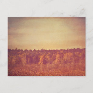 Carte postale Large Open Spaces