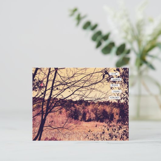 Carte postale Large Open Spaces II (Debout devant)