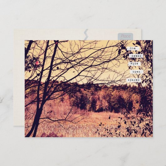 Carte postale Large Open Spaces II (Devant / Derrière)
