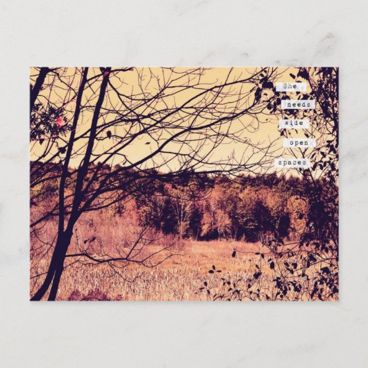 Carte postale Large Open Spaces II (Devant)