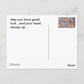 Carte Postale L'argent du ciel (Dos)