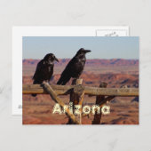 Carte Postale L'Arizona (Devant / Derrière)