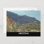 CARTE POSTALE L'ARIZONA (Devant / Derrière)