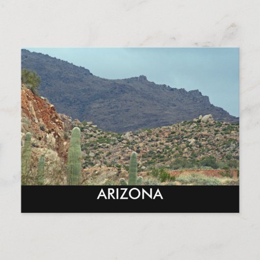 CARTE POSTALE L'ARIZONA (Devant)
