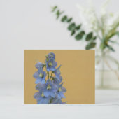Carte Postale Larkspur bleu clair (Debout devant)