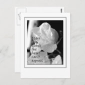 Carte Postale Larmes (Devant / Derrière)