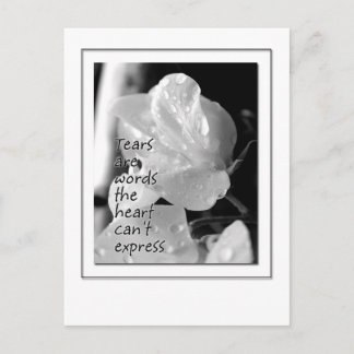 Carte Postale Larmes