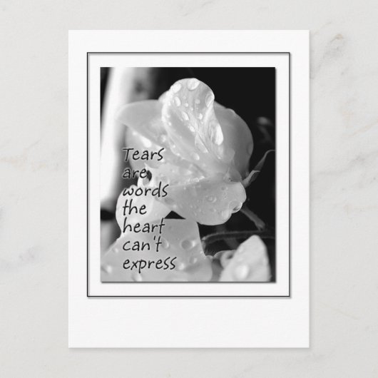 Carte Postale Larmes (Devant)