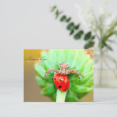 Carte Postale L'arrivée de la proie (Debout devant)