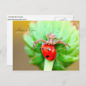 Carte Postale L'arrivée de la proie (Devant / Derrière)