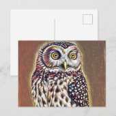 Carte Postale L'art de la Chouette forestière sauvage Abstraite (Devant / Derrière)
